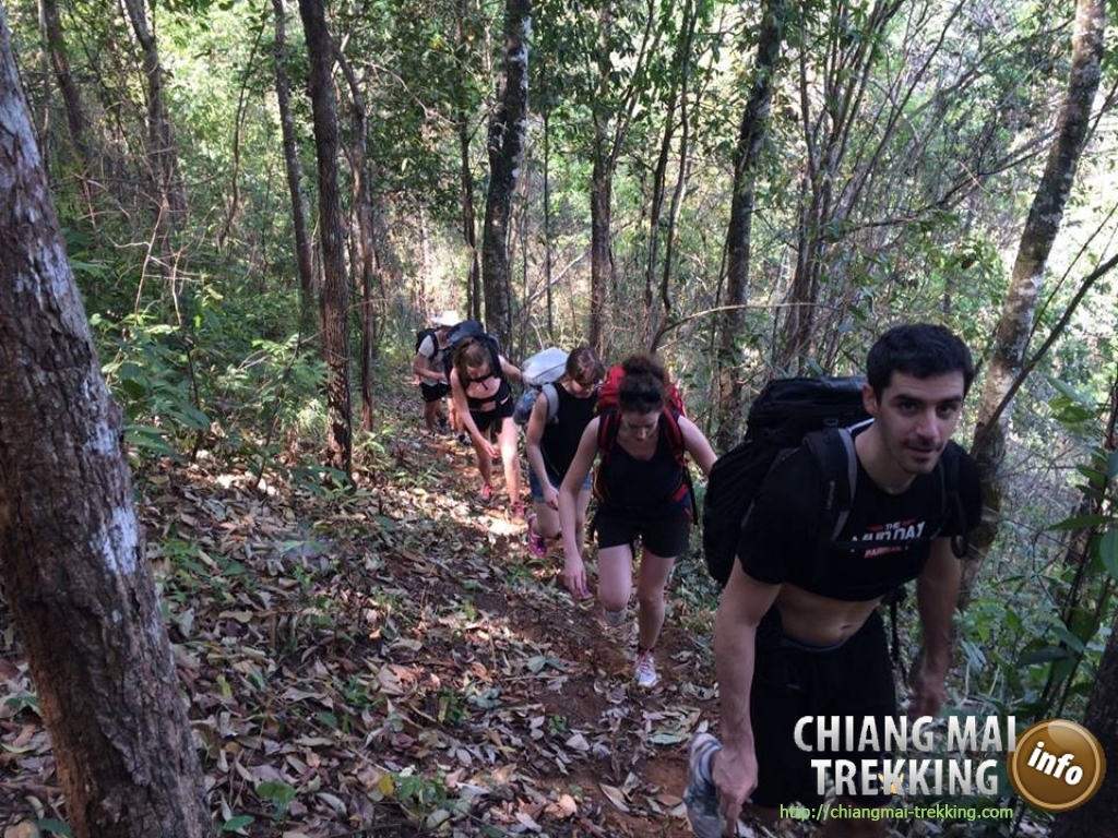 Wonderful 3-days/2-nights trekking | Chiang Mai Trekking | The best trekking in Chiang Mai with Piroon Nantaya